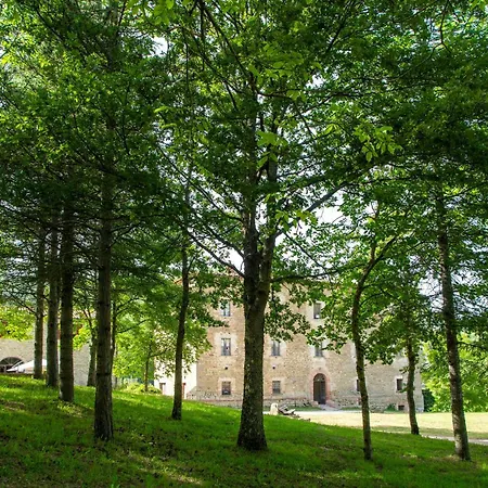 Valguerriera 7- Rosa Rossa * Pian di Mulino